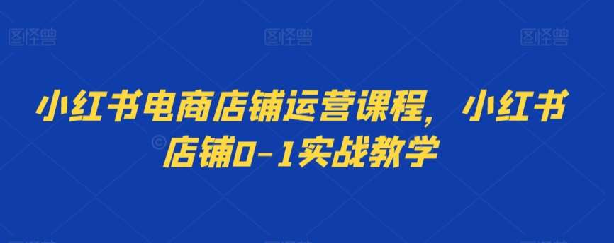 小红书电商店铺运营课程，小红书店铺0-1实战教学插图零零网创资源网