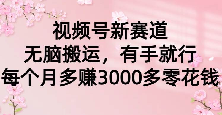 （9278期）视频号新赛道，无脑搬运，有手就行，每个月多赚3000多零花钱插图零零网创资源网