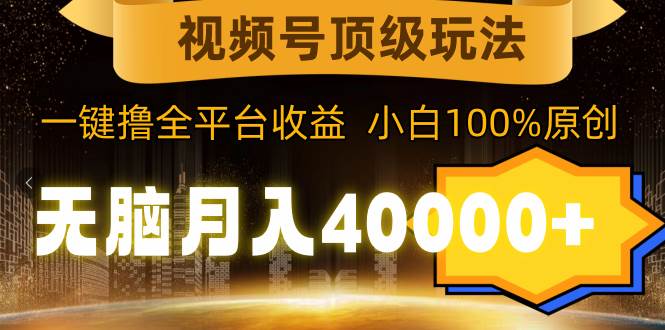 （9281期）视频号顶级玩法，无脑月入40000+，一键撸全平台收益，纯小白也能100%原创插图零零网创资源网