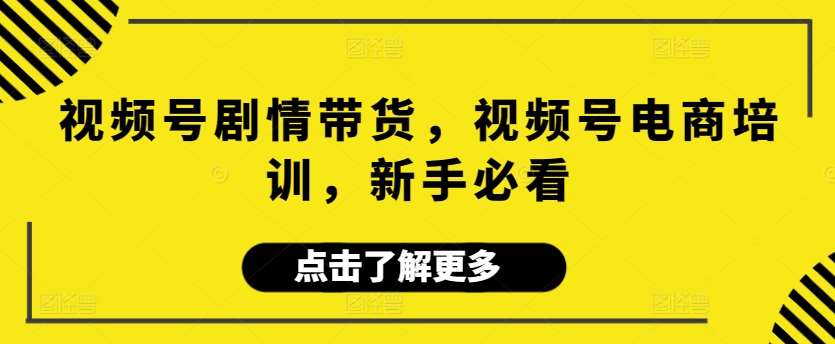 视频号剧情带货，视频号电商培训，新手必看插图零零网创资源网