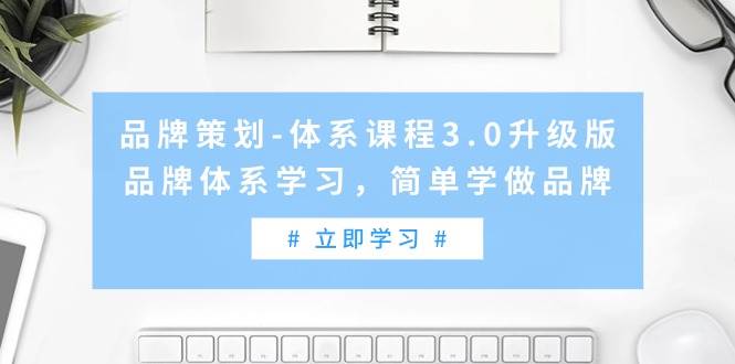 （9284期）品牌策划-体系课程3.0升级版，品牌体系学习，简单学做品牌（高清无水印）插图零零网创资源网