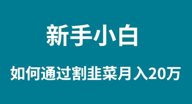 （9308期）新手小白如何通过割韭菜月入 20W插图零零网创资源网