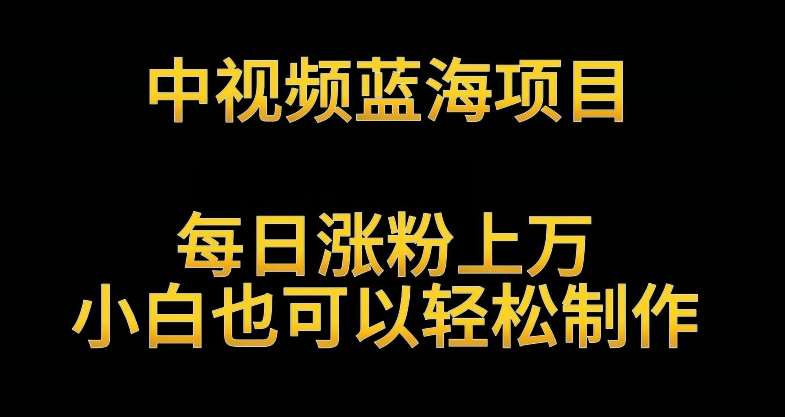 中视频蓝海项目，解读英雄人物生平，每日涨粉上万，小白也可以轻松制作，月入过万不是梦【揭秘】插图零零网创资源网