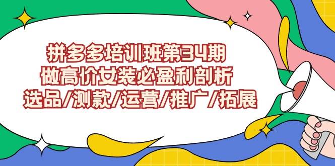 （9333期）拼多多培训班第34期：做高价女装必盈利剖析  选品/测款/运营/推广/拓展插图零零网创资源网