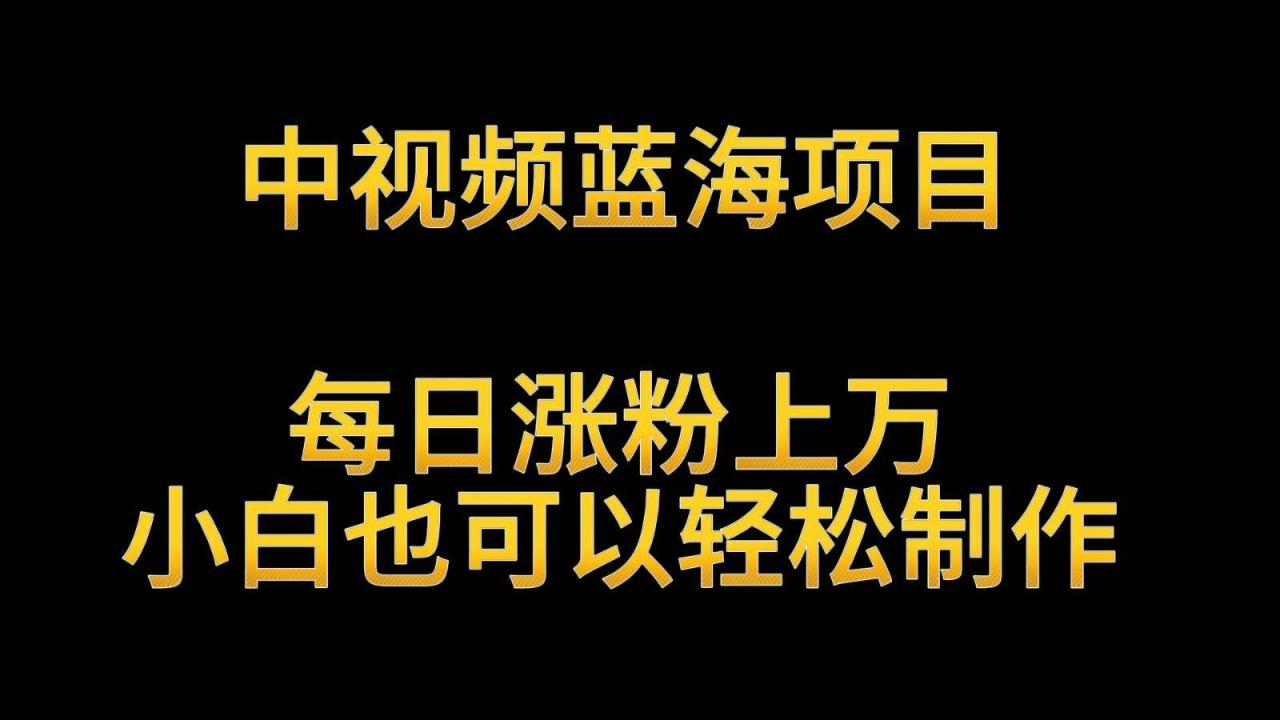 中视频蓝海项目，解读英雄人物生平，每日涨粉上万，小白也可以轻松制作，月入过万插图零零网创资源网