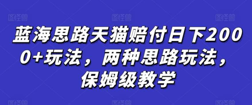 蓝海思路天猫赔付日下2000+玩法，两种思路玩法，保姆级教学【仅揭秘】插图零零网创资源网