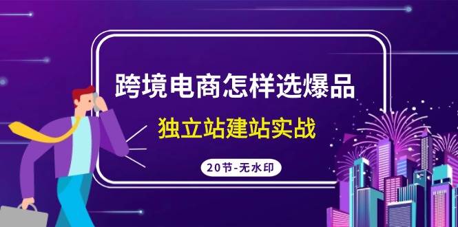 （9369期）跨境电商怎样选爆品，独立站建站实战（20节高清无水印课）插图零零网创资源网