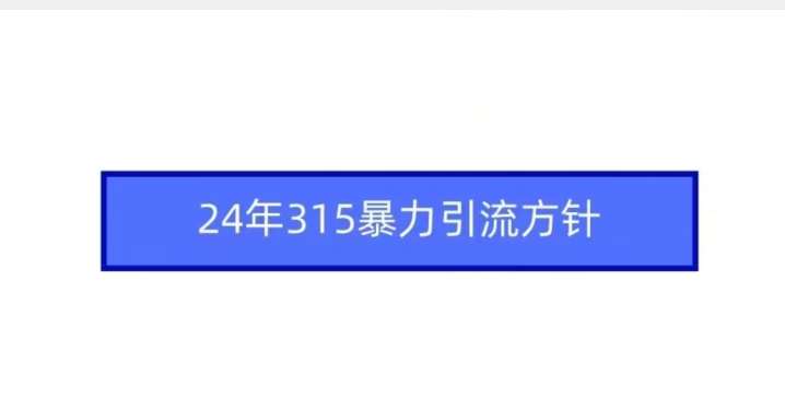 24年315暴力引流方针插图零零网创资源网