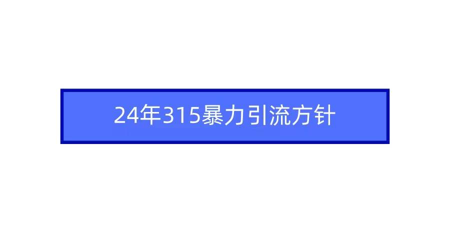 （9398期）2024年315暴力引流方针插图零零网创资源网