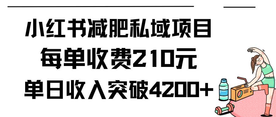 （9466期）小红书减肥私域项目每单收费210元单日成交20单，最高日入4200+插图零零网创资源网