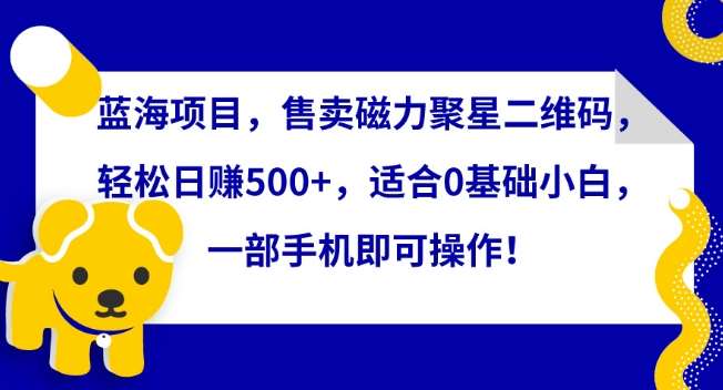 蓝海项目，售卖磁力聚星二维码，轻松日赚500+，适合0基础小白，一部手机即可操作【揭秘】插图零零网创资源网