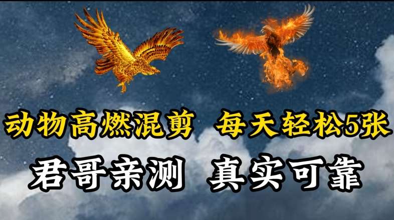 动物超燃混剪，每天轻松5张，剪辑简单大家爱看【揭秘】插图零零网创资源网