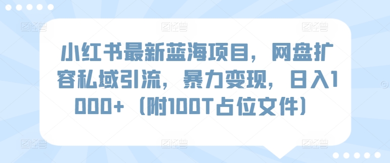 小红书最新蓝海项目，网盘扩容私域引流，暴力变现，日入1000+（附100T占位文件）【揭秘】插图零零网创资源网