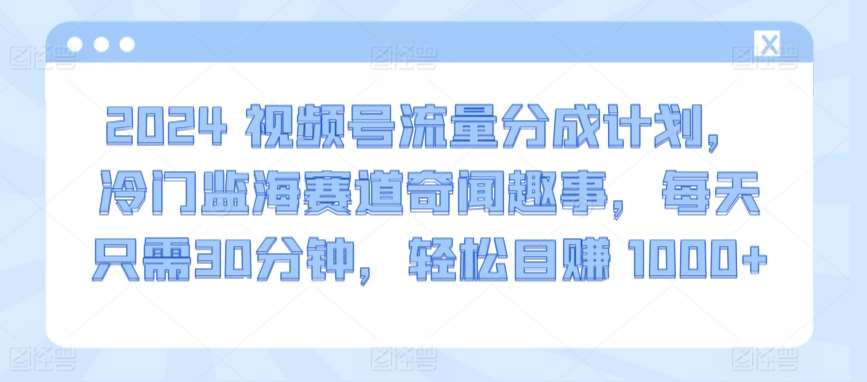 2024视频号流量分成计划，冷门监海赛道奇闻趣事，每天只需30分钟，轻松目赚 1000+【揭秘】插图零零网创资源网