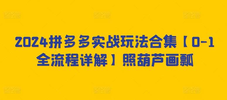 2024拼多多实战玩法合集【0-1全流程详解】照葫芦画瓢插图零零网创资源网