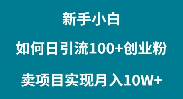 （9556期）新手小白如何通过卖项目实现月入10W+插图零零网创资源网