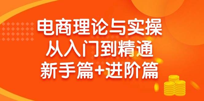 （9576期）电商理论与实操从入门到精通 新手篇+进阶篇插图零零网创资源网