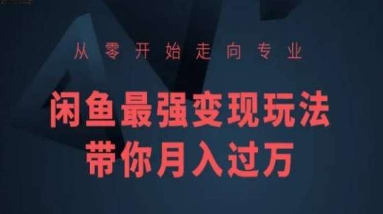 从零开始走向专业，闲鱼最强变现玩法带你月入过万插图零零网创资源网