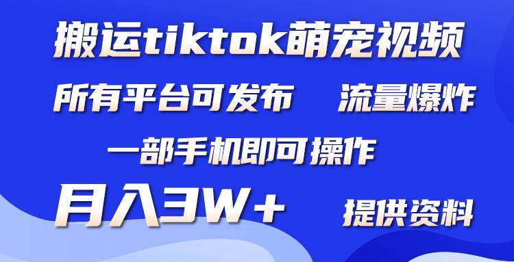 （9618期）搬运Tiktok萌宠类视频，一部手机即可。所有短视频平台均可操作，月入3W+插图零零网创资源网