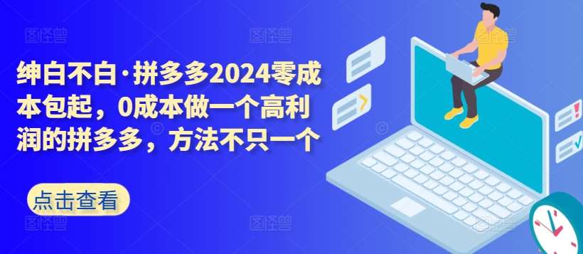 拼多多2024零成本包起，0成本做一个高利润的拼多多，方法不只一个插图零零网创资源网