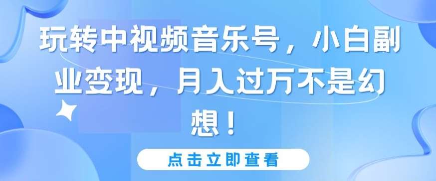 玩转中视频音乐号，小白副业变现，月入过万不是幻想【揭秘】插图零零网创资源网