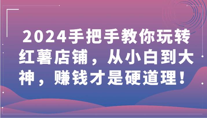 2024手把手教你玩转红薯店铺，从小白到大神，赚钱才是硬道理！插图零零网创资源网