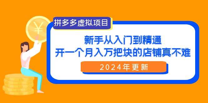 （9744期）拼多多虚拟项目：入门到精通，开一个月入万把块的店铺 真不难（24年更新）插图零零网创资源网