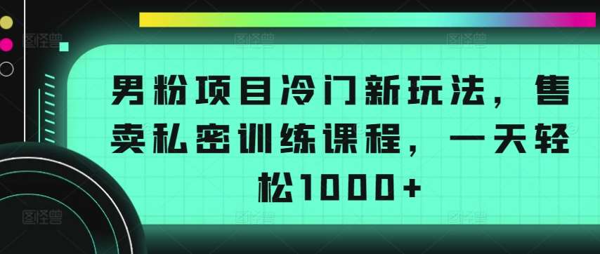 男粉项目冷门新玩法，售卖私密训练课程，一天轻松1000+【揭秘】插图零零网创资源网