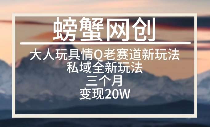 大人玩具情Q用品赛道私域全新玩法，三个月变现20W，老项目新思路【揭秘】插图零零网创资源网