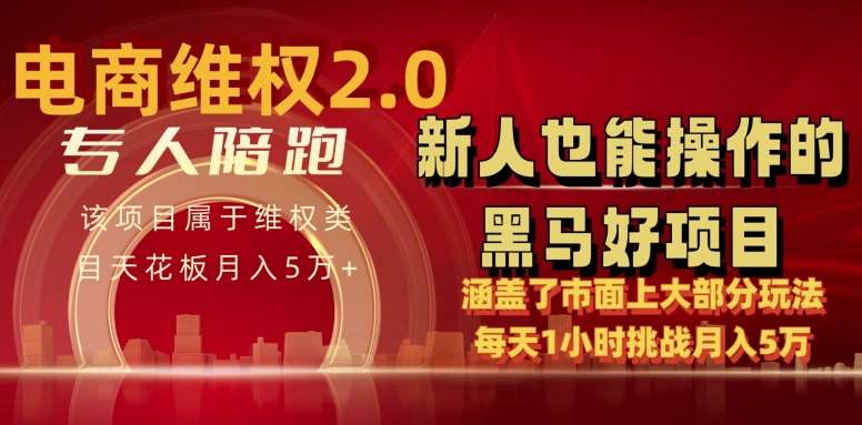 电商维权 4.0 如何做到月入 5 万+每天 1 小时新人也能快速上手【仅揭秘】插图零零网创资源网