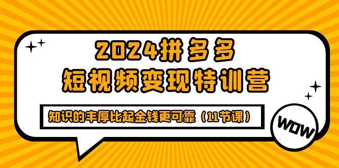 （9817期）2024拼多多短视频变现特训营，知识的丰厚比起金钱更可靠（11节课）插图零零网创资源网