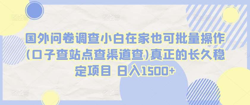 国外问卷调查小白在家也可批量操作(口子查站点查渠道查)真正的长久稳定项目 日入1500+【揭秘】插图零零网创资源网