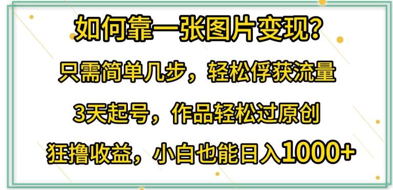 如何靠一张图片变现?只需简单几步，轻松俘获流量，3天起号，作品轻松过原创【揭秘】插图零零网创资源网