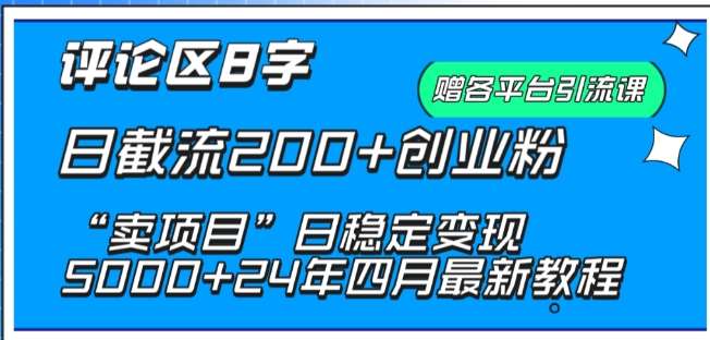 抖音评论区8字日截流200+创业粉 “卖项目”日稳定变现5000+【揭秘】插图零零网创资源网