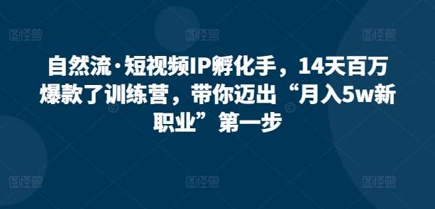 自然流·短视频IP孵化手，14天百万爆款了训练营，带你迈出“月入5w新职业”第一步插图零零网创资源网