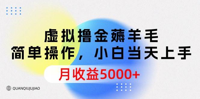 （9864期）虚拟撸金薅羊毛，简单操作，小白当天上手，月收益5000+插图零零网创资源网