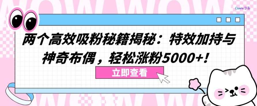 两个高效吸粉秘籍揭秘：特效加持与神奇布偶，轻松涨粉5000+【揭秘】插图零零网创资源网