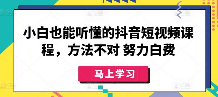 小白也能听懂的抖音短视频课程，方法不对 努力白费插图零零网创资源网