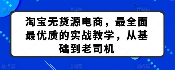 淘宝无货源电商，最全面最优质的实战教学，从基础到老司机插图零零网创资源网