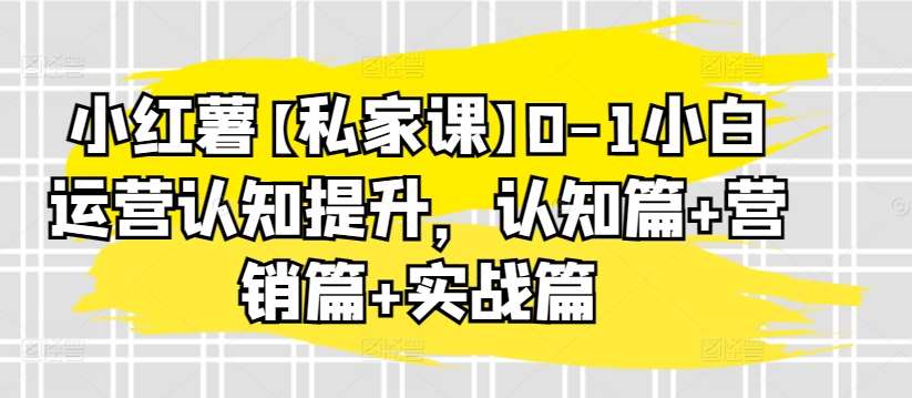 小红薯【私家课】0-1小白运营认知提升，认知篇+营销篇+实战篇插图零零网创资源网