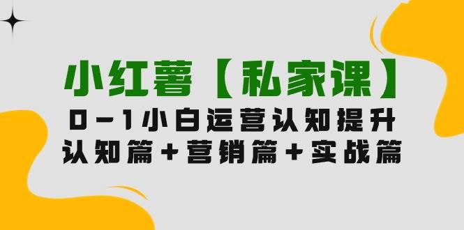 （9910期）小红薯【私家课】0-1玩赚小红书内容营销，认知篇+营销篇+实战篇（11节课）插图零零网创资源网