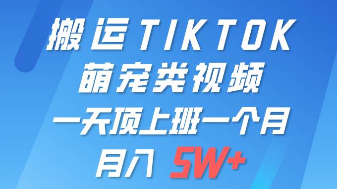 （9931期）一键搬运TIKTOK萌宠类视频 一部手机即可操作 所有平台均可发布 轻松月入5W+插图零零网创资源网