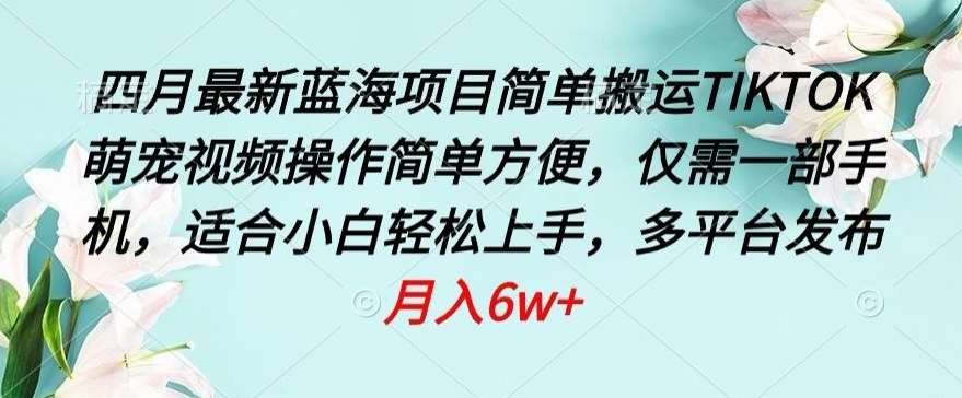 四月最新蓝海项目，简单搬运TIKTOK萌宠视频，操作简单方便，仅需一部手机【揭秘】插图零零网创资源网