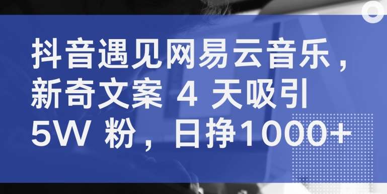 抖音遇见网易云音乐，新奇文案 4 天吸引 5W 粉，日挣1000+【揭秘】插图零零网创资源网