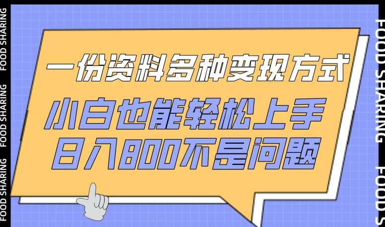 一份资料多种变现方式，小白也能轻松上手，日入800不是问题【揭秘】插图零零网创资源网