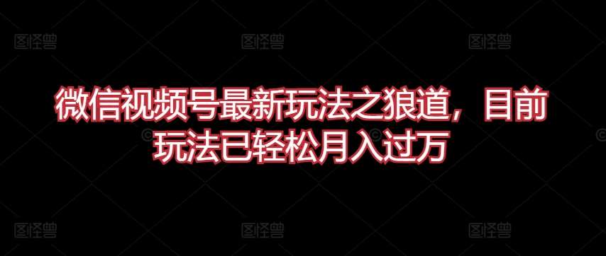 微信视频号最新玩法之狼道，目前玩法已轻松月入过万【揭秘】插图零零网创资源网