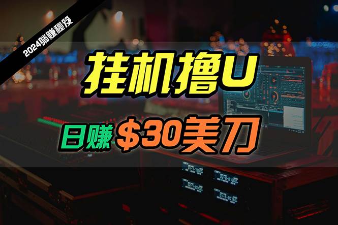 （10013期）日赚30美刀，2024最新海外挂机撸U内部项目，全程无人值守，可批量放大插图零零网创资源网