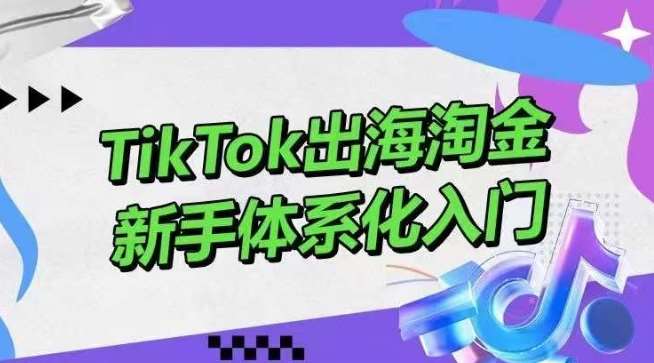 TikTok出海淘金，新手体系化入门，零基础快速入门，掌握短视频、直播带货等引流到变现的知识插图零零网创资源网