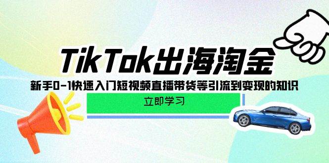 （10035期）TikTok-出海淘金，新手0-1快速入门短视频直播带货等引流到变现的知识插图零零网创资源网