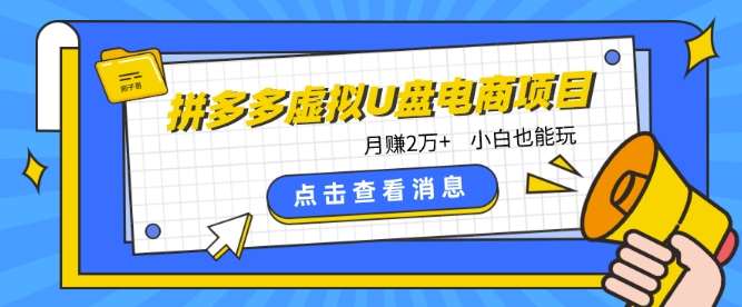 拼多多虚拟U盘电商红利项目：月赚2万+，新手小白也能玩插图零零网创资源网